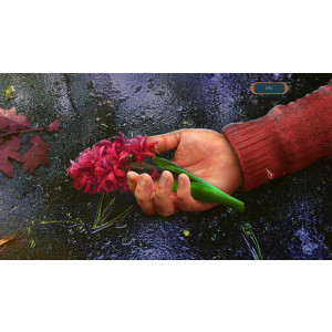 Nevyřešené případy 3 - Šarlatový hyacint - Sběratelská edice